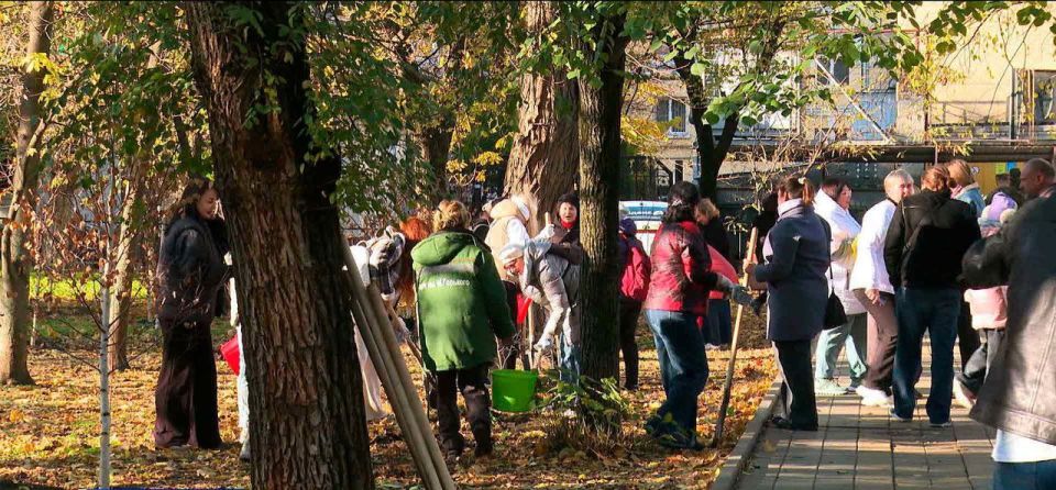 В Ростове у входа в парк Горького появилась дубовая аллея, высаженная в честь психолога Сабины Шпильрейн