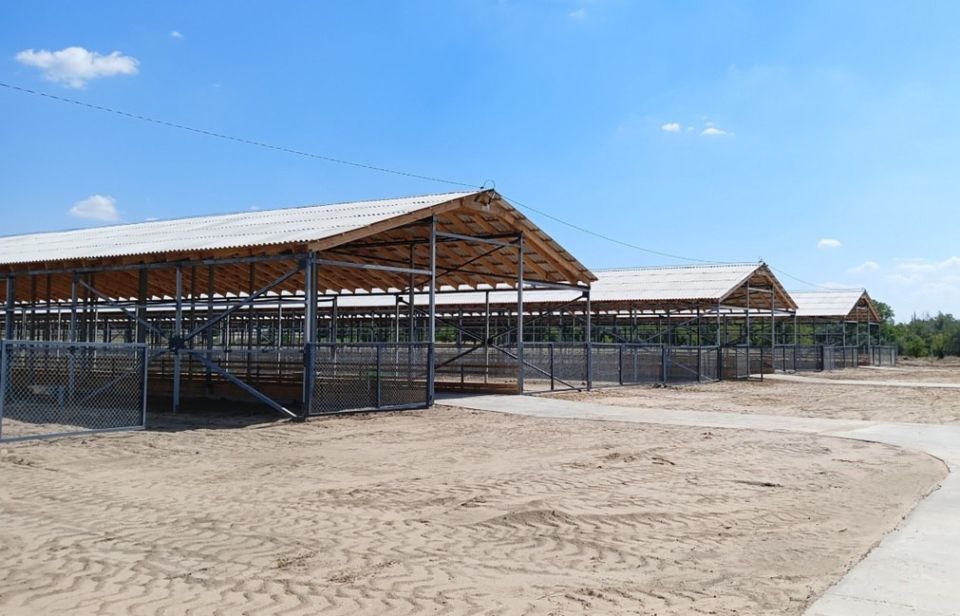 В Белой Калитве завершилось строительство фидлота для овцекомплекса