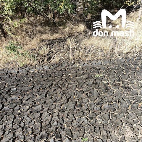 МинЖКХ заявило, что следит за вывозом твердых отходов после закрытия полигона в Семикаракорском районе