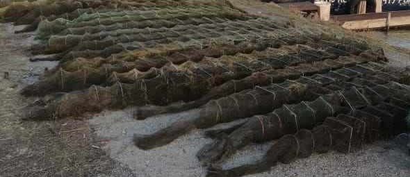 О браконьерских сетях и СВО…