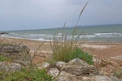    18-            2007  2024 