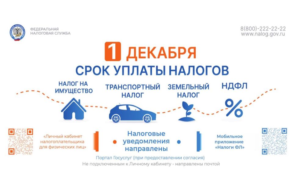 1 декабря истекает срок уплаты имущественных налогов