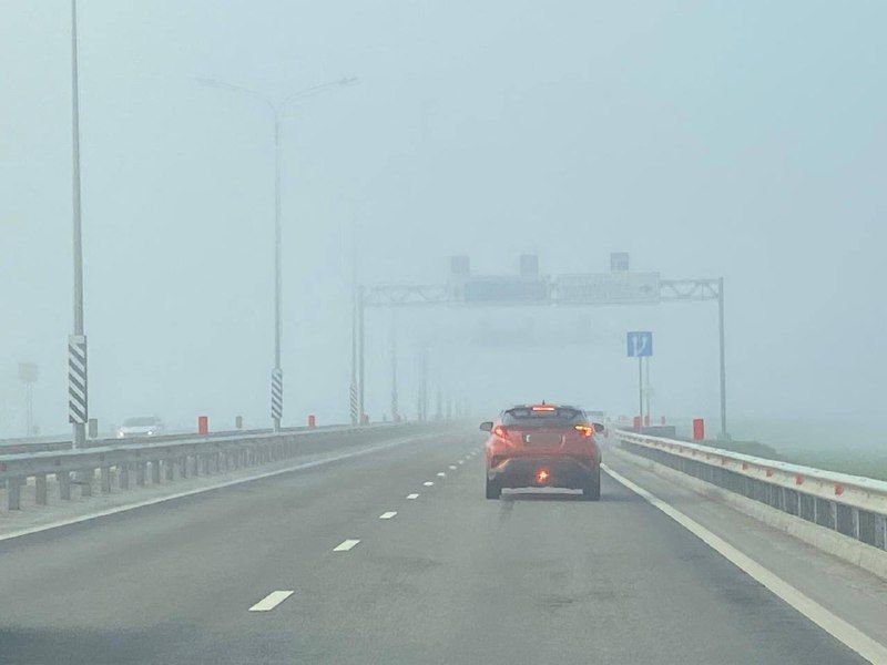 Плотный туман опустился на дороги Ростовской области, предупреждает водителей Госавтоинспекция