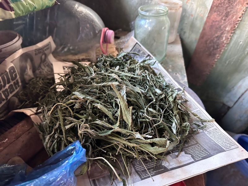 Полицейские Егорлыкского района задержали подозреваемого в хранении наркотиков в крупном размере