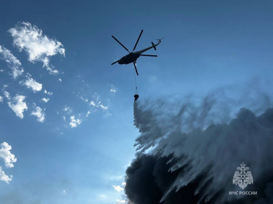 #?.   11  2025  -         :