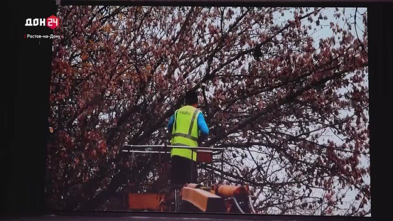 Кто лучший руководитель в сфере ЖКХ в Ростове?