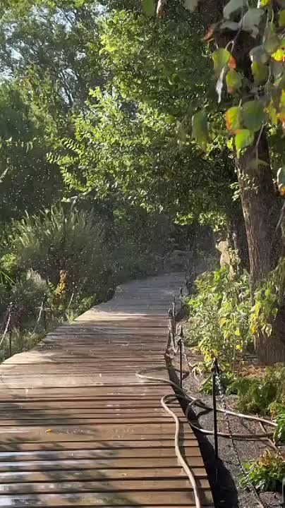 Бабье лето наведалось в Ростов