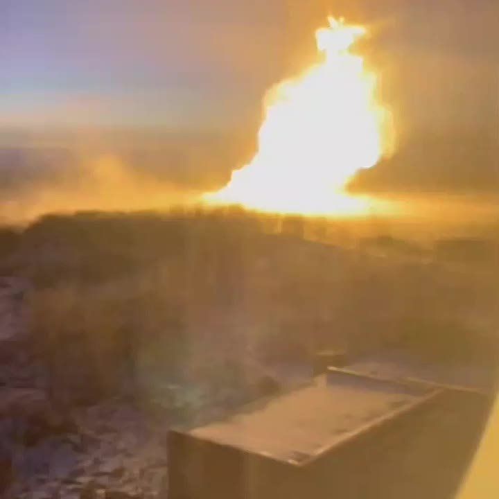 Возгорание произошло в районе поселка Ростовка под Омского района