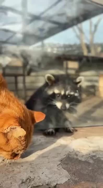 Чтобы ваша среда прошла на позитиве, ловите тёплое видео из парка птиц «Малинок»!