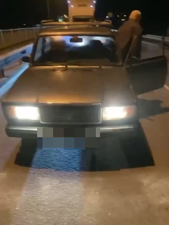 Мужчина тащил собаку на привязи за машиной по трассе в Ростовской области