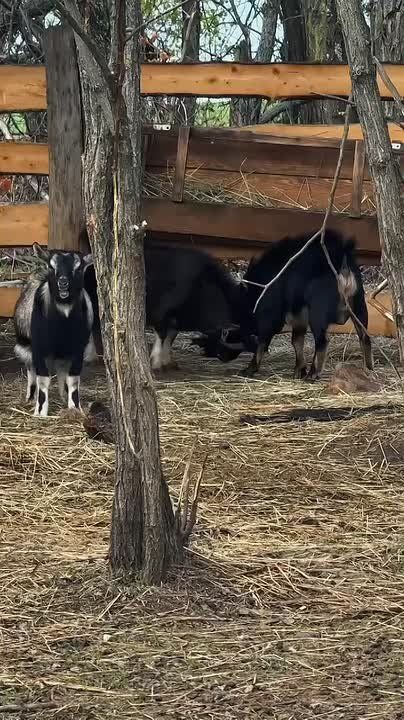 Грустный четверг? Админ тоже зевает в окно и вздыхает