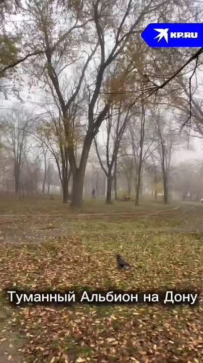Ростов на один день стал Туманным Альбионом! Никакого фотошопа — только чистая магия природы