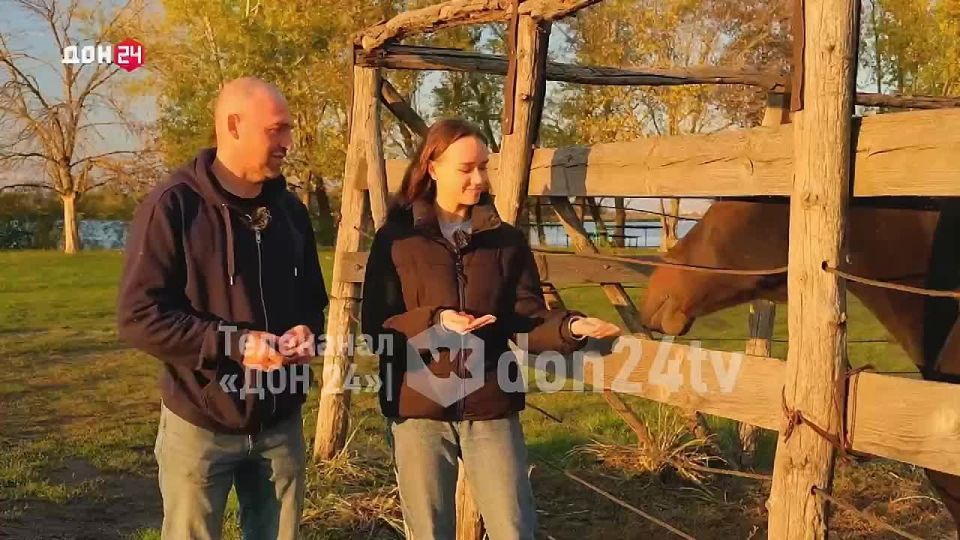 Как правильно общаться с лошадью?