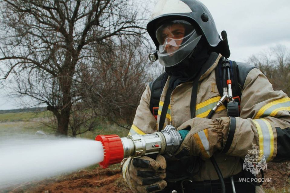 #?.   25  2025  -         :