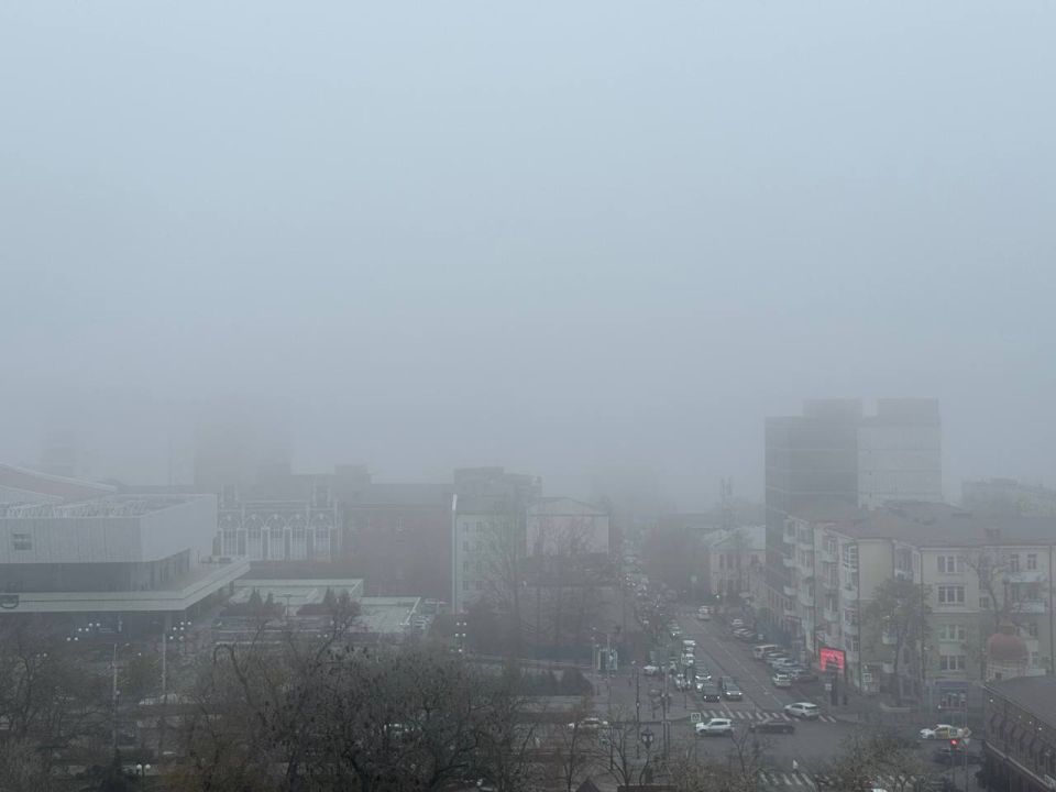 Снова туманным «молоком» заволокло региональные трассы