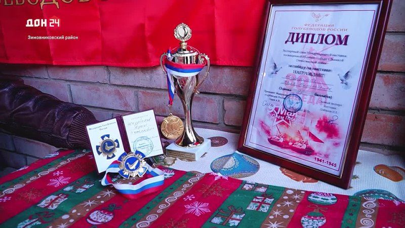 Лучшие голубеводы Дона