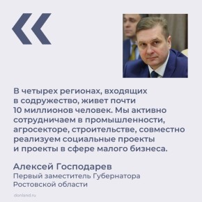 В Воронеже на заседании совета Содружества «Донбасс» представители регионов обсудили итоги работы отраслевых групп и планы на 2026 год