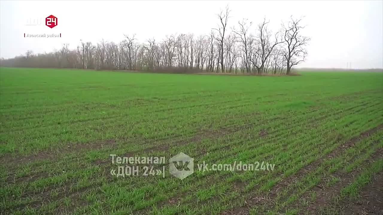 Сев озимой пшеницы в Азовском районе выполнен на 100%