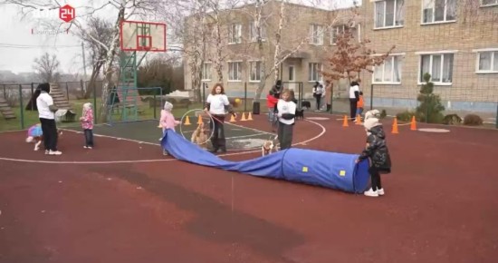 В Волгодонске собаки-терапевты помогают особым детям