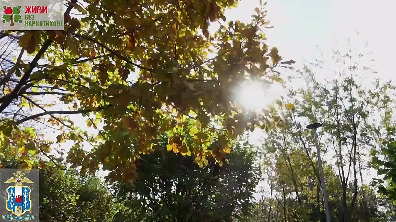 Жители могут сообщать сведения о ставших известными фактах незаконного оборота наркотиков