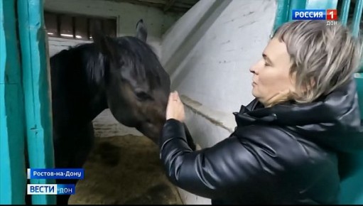 Ростовский ипподром: «день Х». Вчера, в день закрытия, конники отказались покидать помещения ипподрома