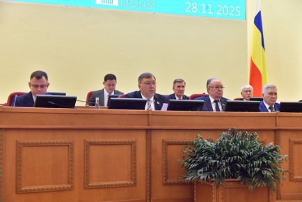 Многодетные семьи Дона поддерживают повышение земельного сертификата до 912 тысяч рублей