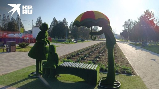 В понедельник уже наступит зима, а в Сальске еще цветут петуньи