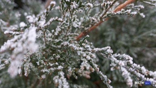 Туман, изморозь, а местами и гололедица ждут жителей Ростовской области в выходные