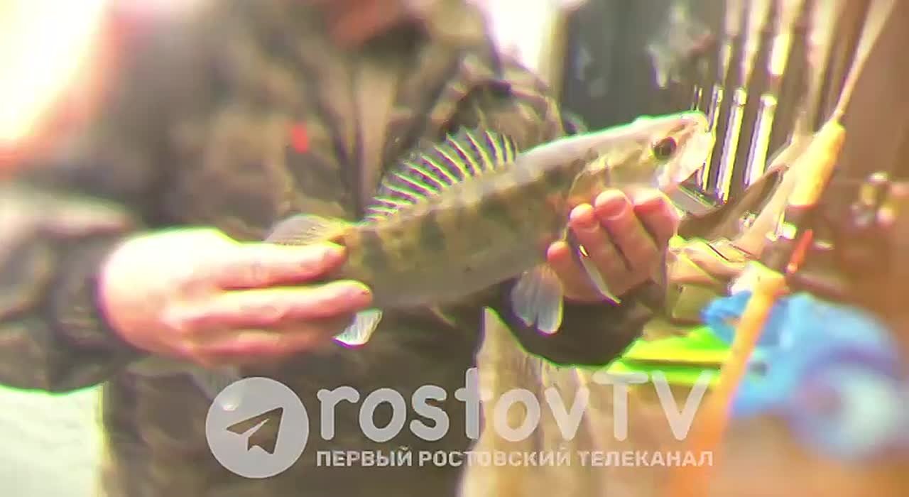 «Держи леща» - новый телепроект «Первого Ростовского»