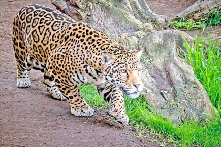 Что можно отметить в этот день