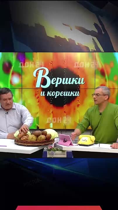 Известен самый вкусный сорт картофеля