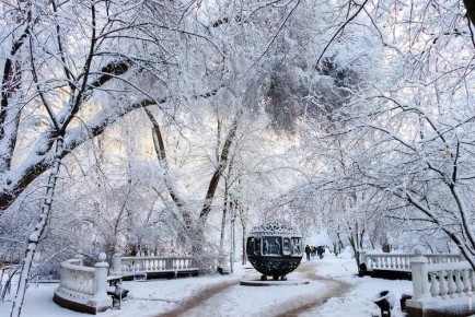 Начальник Ростовского гидрометцентра Назарова рассказала, ждать ли снега в декабре