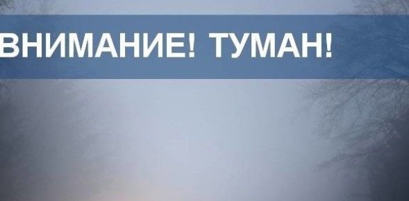 Участок автодороги М-4 «Дон» заволокло туманом