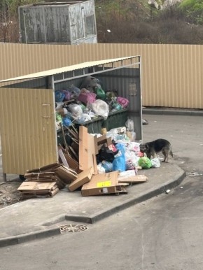 На свалку возле контейнеров в Ростове жалуется наша подписчица