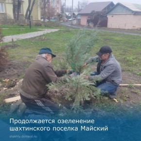 Озеленение поселка Майский: в сквере ДК имени М. П. Чиха появились декоративные деревья