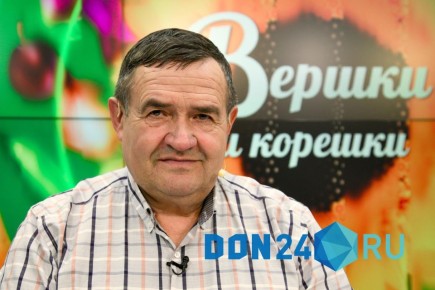 Донской агроном назвал самый вкусный сорт картофеля в мире