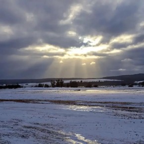 Заморозки, туман и изморозь: подробный прогноз погоды в первую неделю декабря