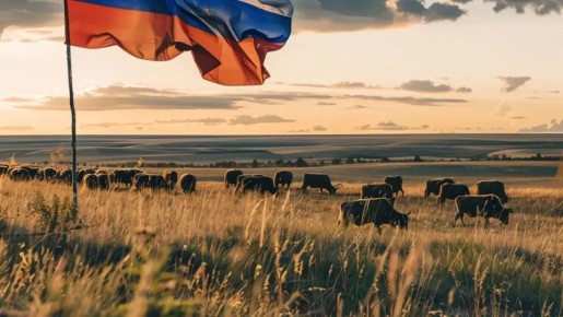 Развитие агропромышленного комплекса Ростовской области: Итоги и перспективы