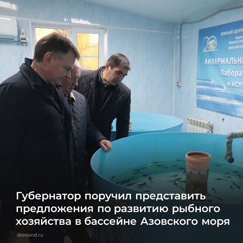 Сохранение и восстановление водных биоресурсов в Азовском море обсудили на совещании под руководством губернатора Юрия Слюсаря