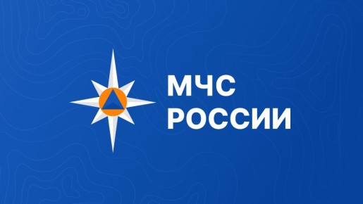 В МЧС России создан Молодежный совет В МЧС России создан Молодежный совет