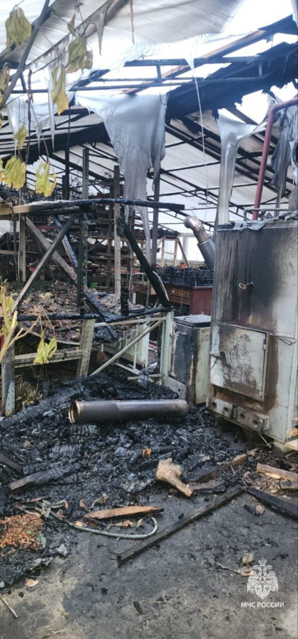 В Батайске из-за загоревшейся теплицы погиб 54-летний мужчина