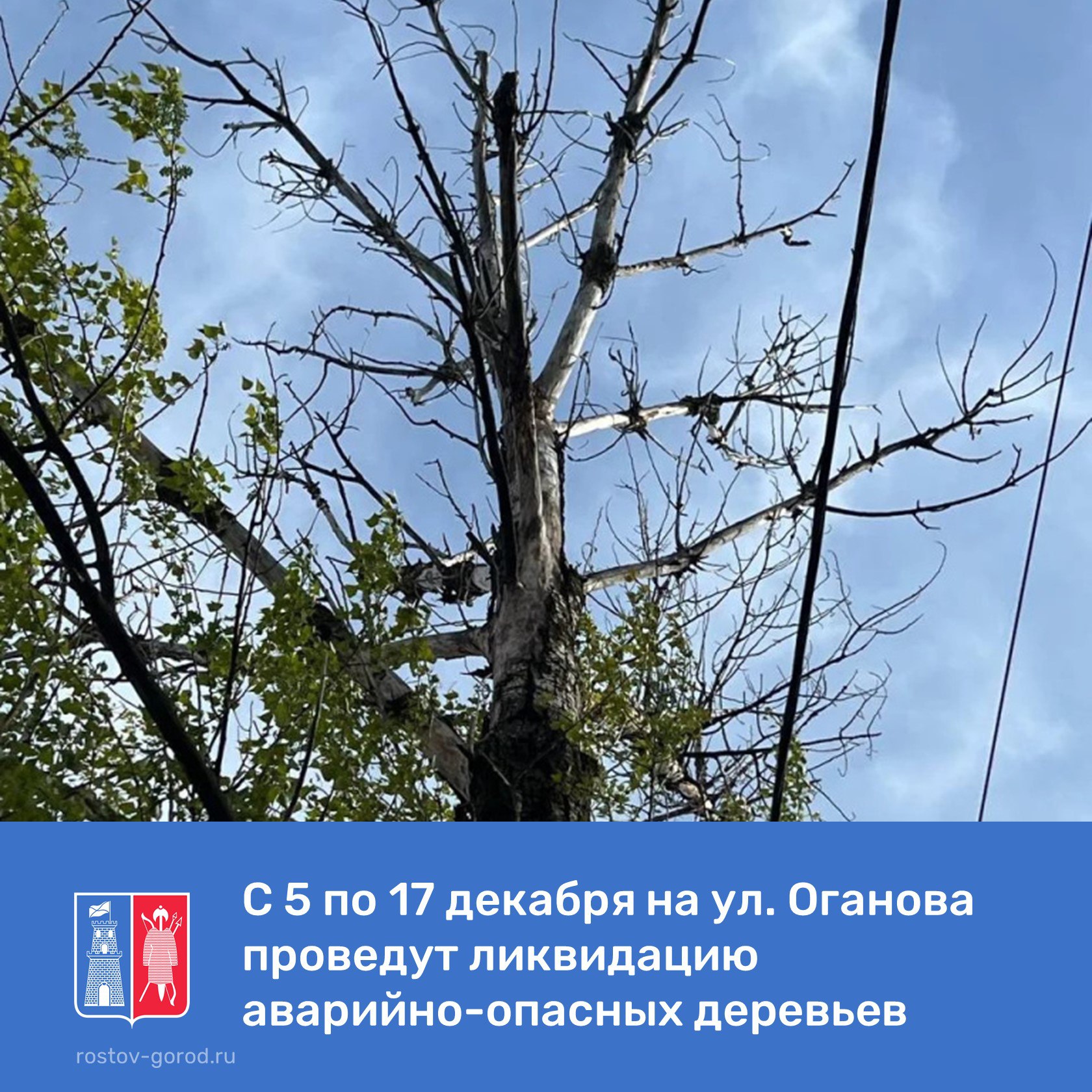 Работы охватят участок от кольцевой развязки на пересечении улиц Оганова и Особенной до пересечения улицы Оганова с переулком Авиамоторным