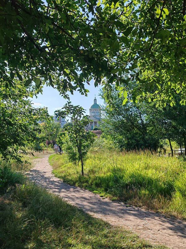 Пенсионер из Ростова очистил реку Темерник, а потом благоустроил сад