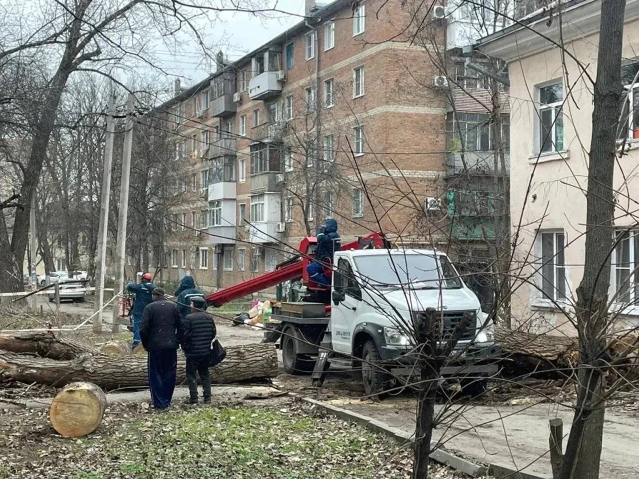 В Ростове аварийное дерево упало на крышу и балкон дома