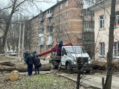 На улице Киргизская на крышу и балкон МКД упало аварийное дерево