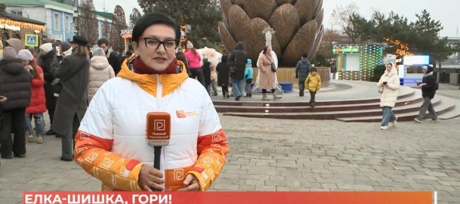 Необычный новогодний арт-объект появился на набережной Ростова