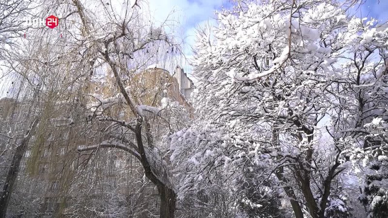 Зимний щит дорог