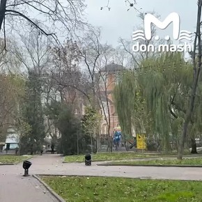 Первый, долгожданный и такой красивый