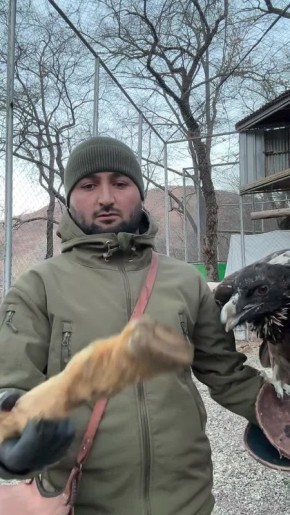 Вот так птичка, сходу проглотила баранью ногу!