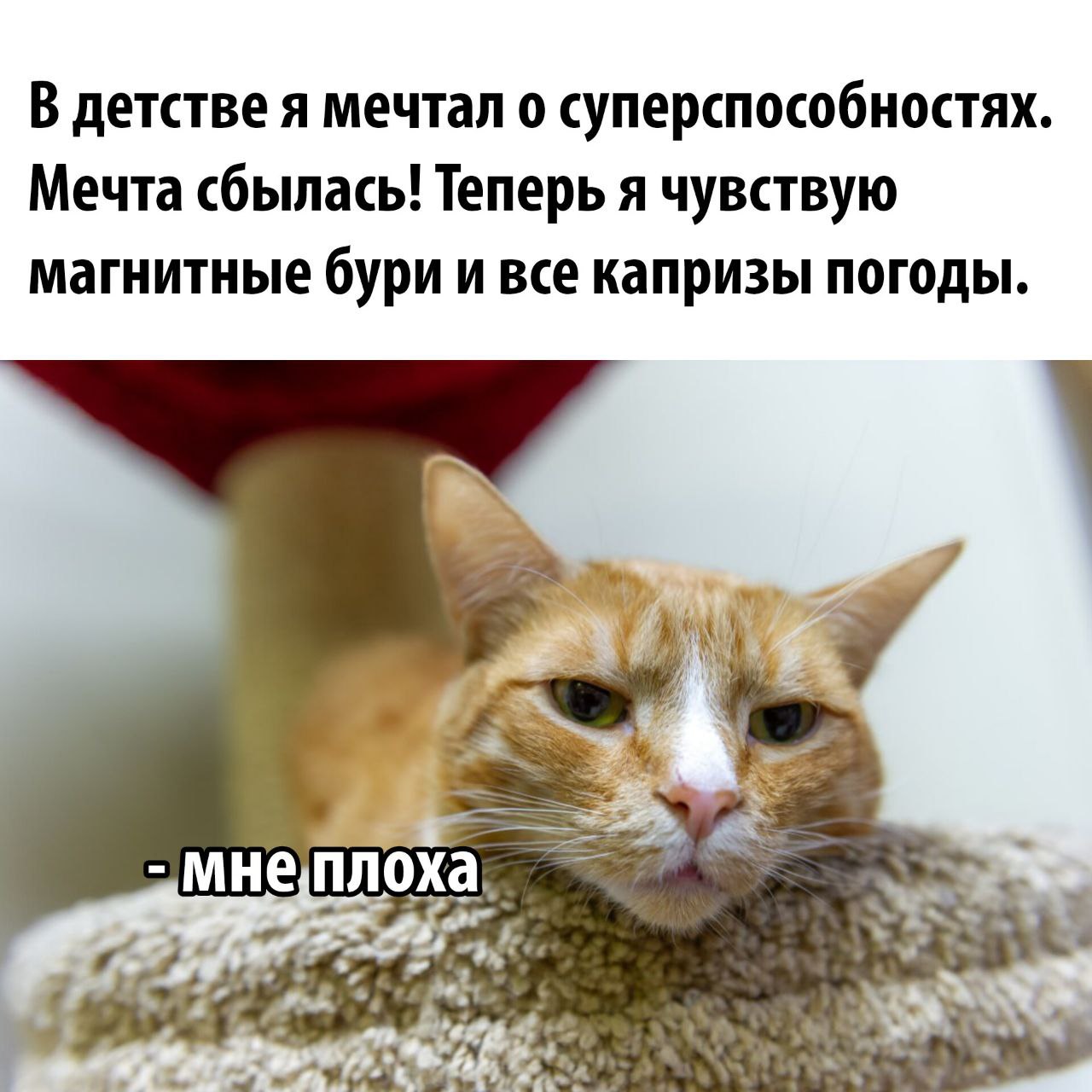 9 и 10 декабря в Ростовской области магнитные бури будут настолько сильными, что почти достигнут уровня G-3 и Кр-индекса 7